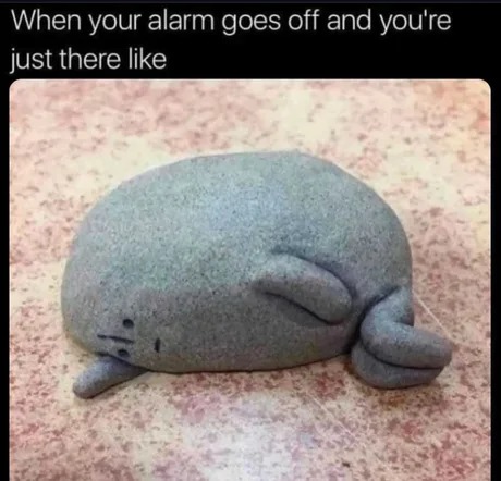 Everyday feels like this - meme
