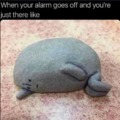 commented item thumbnail