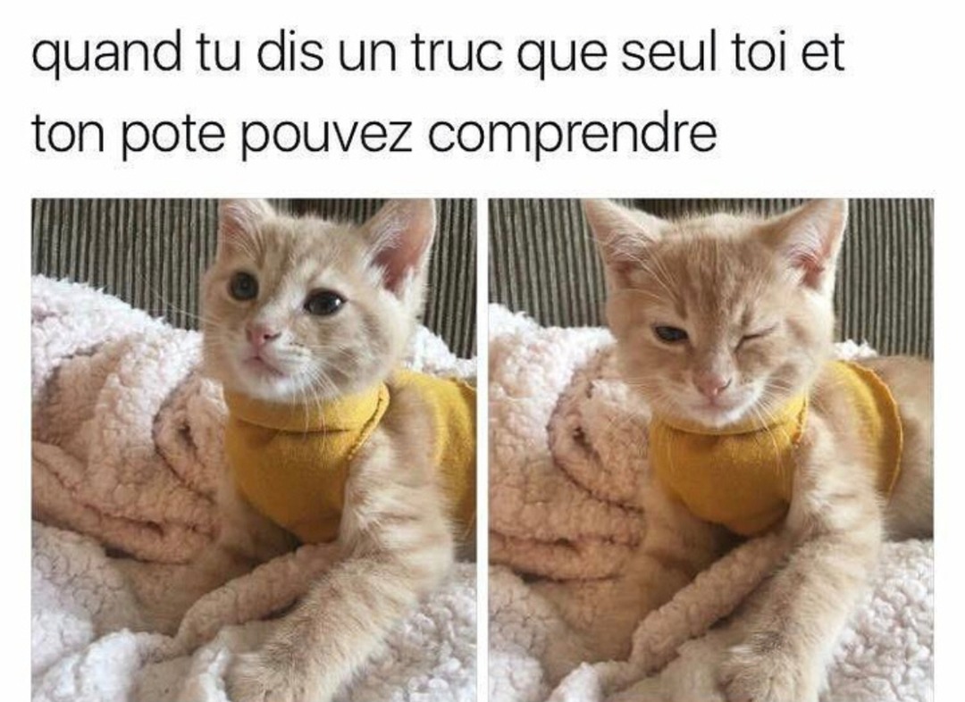 Quand toi et ton pote explosez de rire sur une vanne incompréhensible - meme