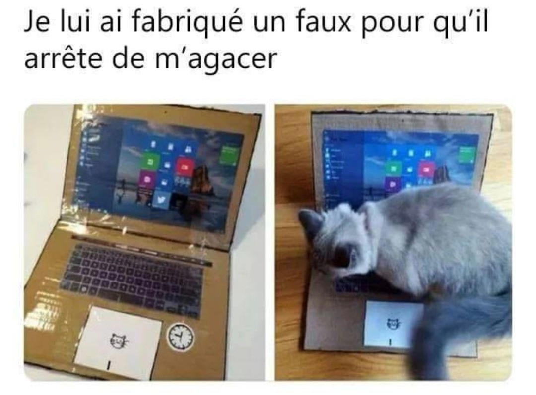 J’lui ai fait un faux juste pour qu’il me lâche la grappe - meme