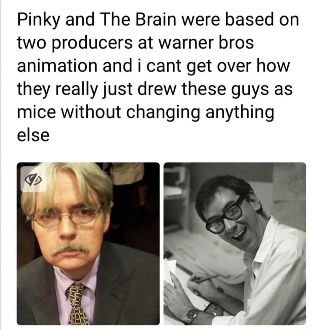 ﻿and The Brain were based on two producers at warner bros animation and i cant over how really just drew these guys as mice without changing anything else Pinky get they