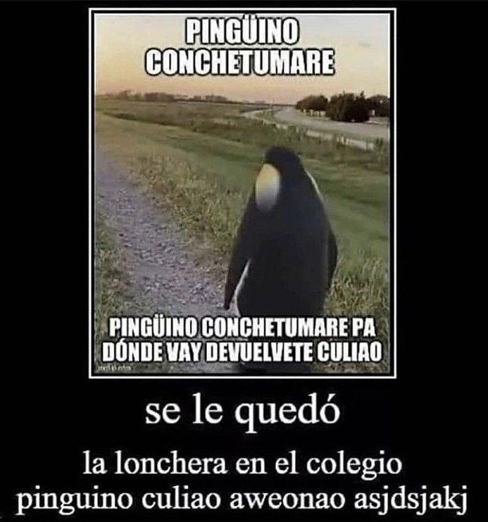 no lo insulten - meme