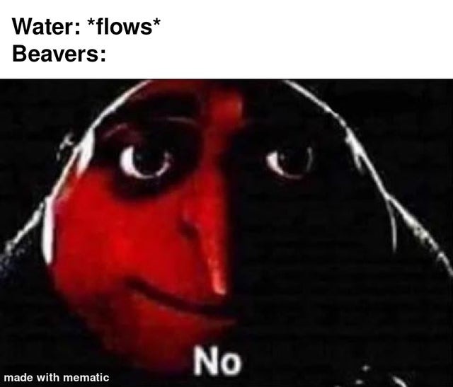 Beavers don't have flow - meme