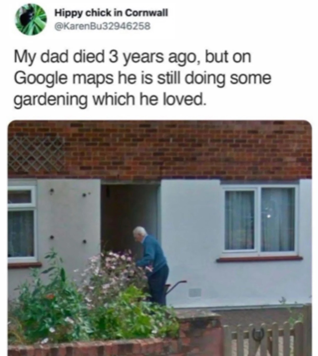 His dad is still alive to Google street - meme