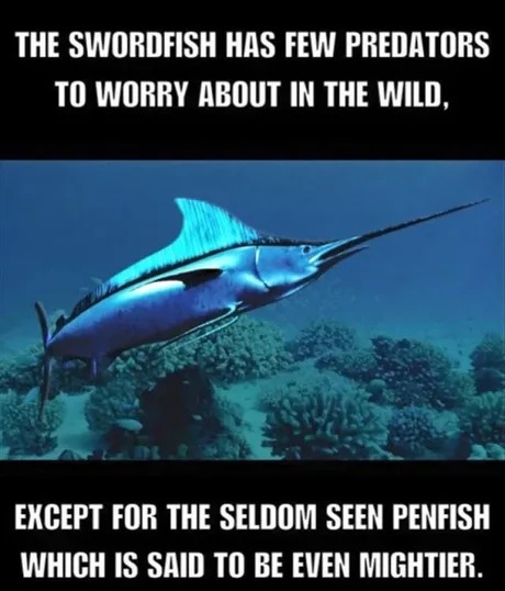 Swordfish predators - meme