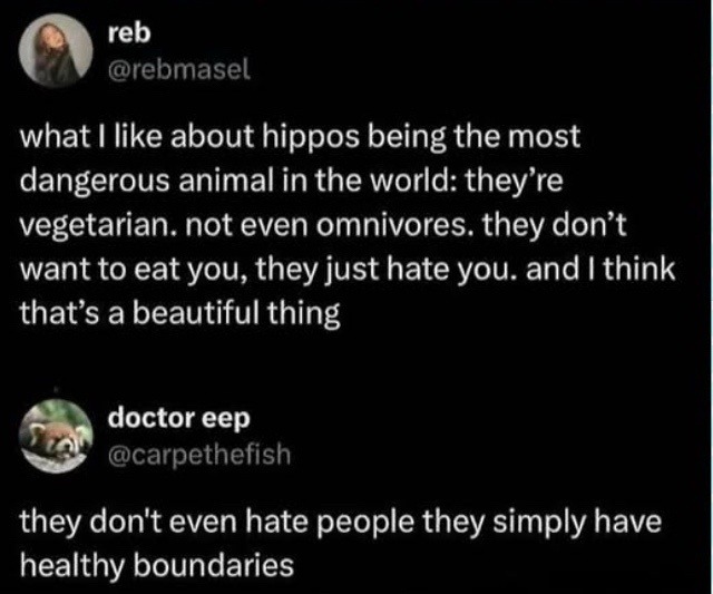 Hippos don’t hate you, they just value boundaries - meme