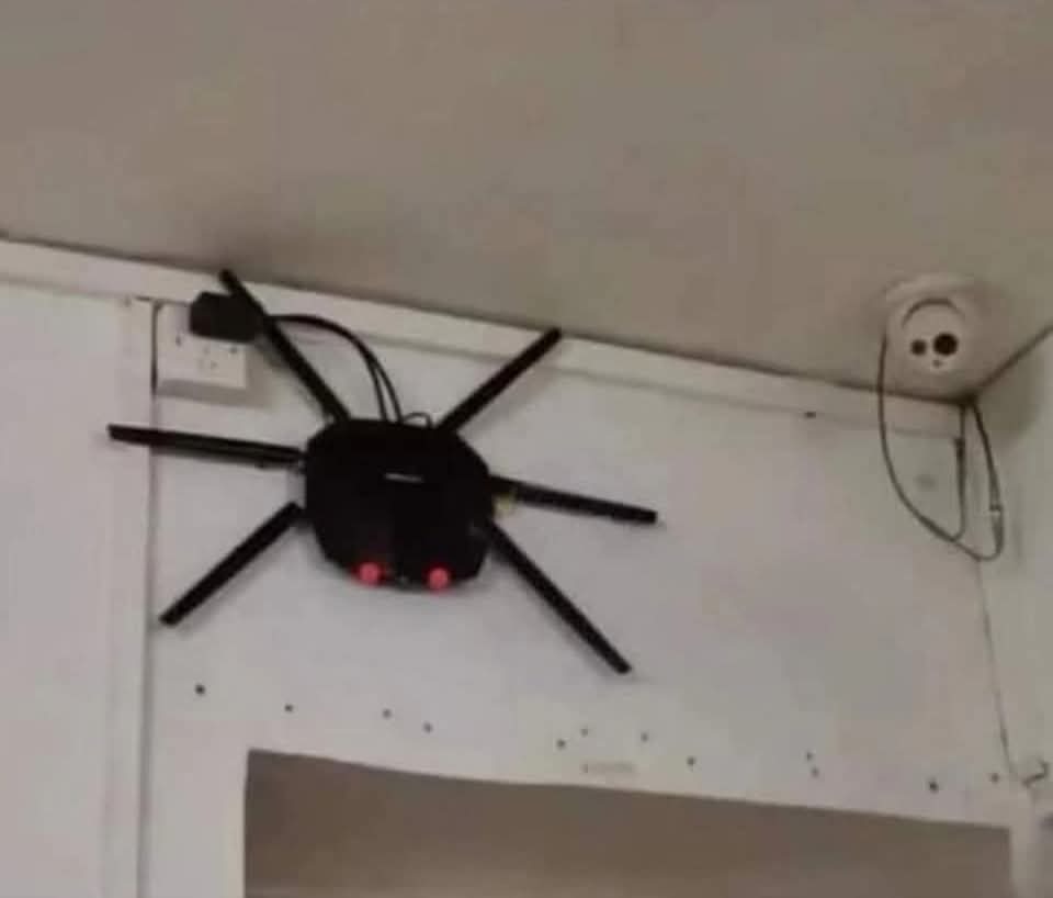 This is why its called the web - meme