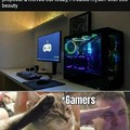 True gamers