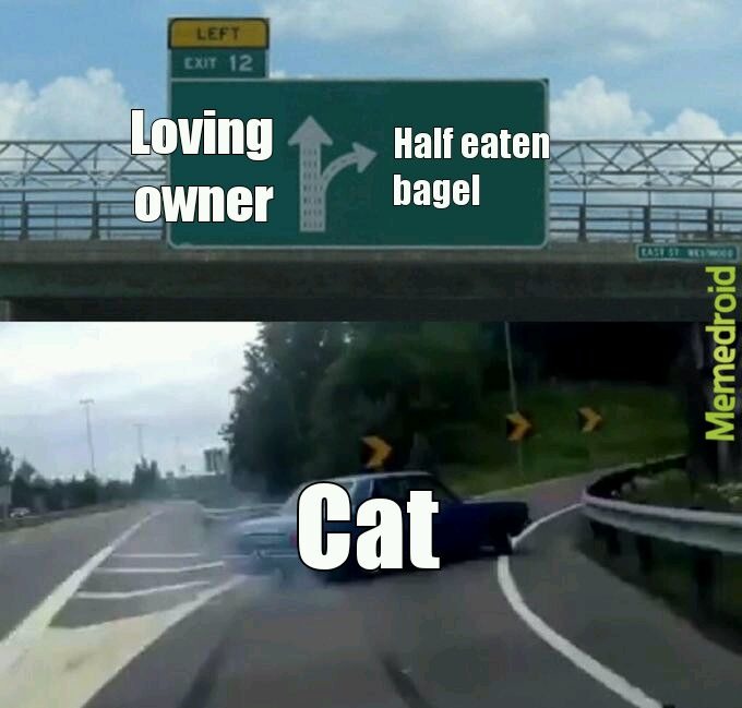 Cat will abandon for food - meme