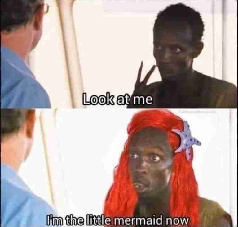I'm the little mermaid now - meme