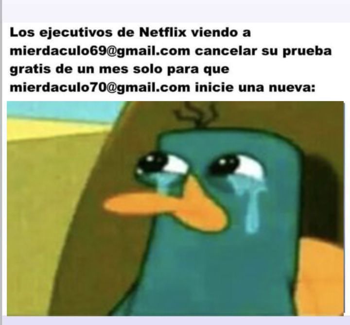 Netflix - meme