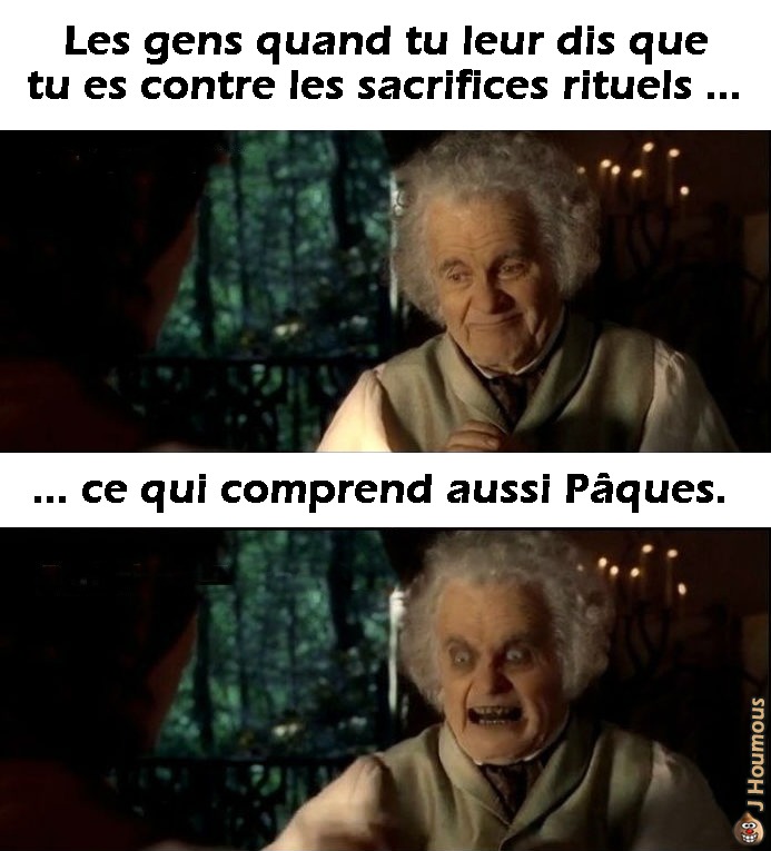 Sacrifice rituel d'animaux - meme
