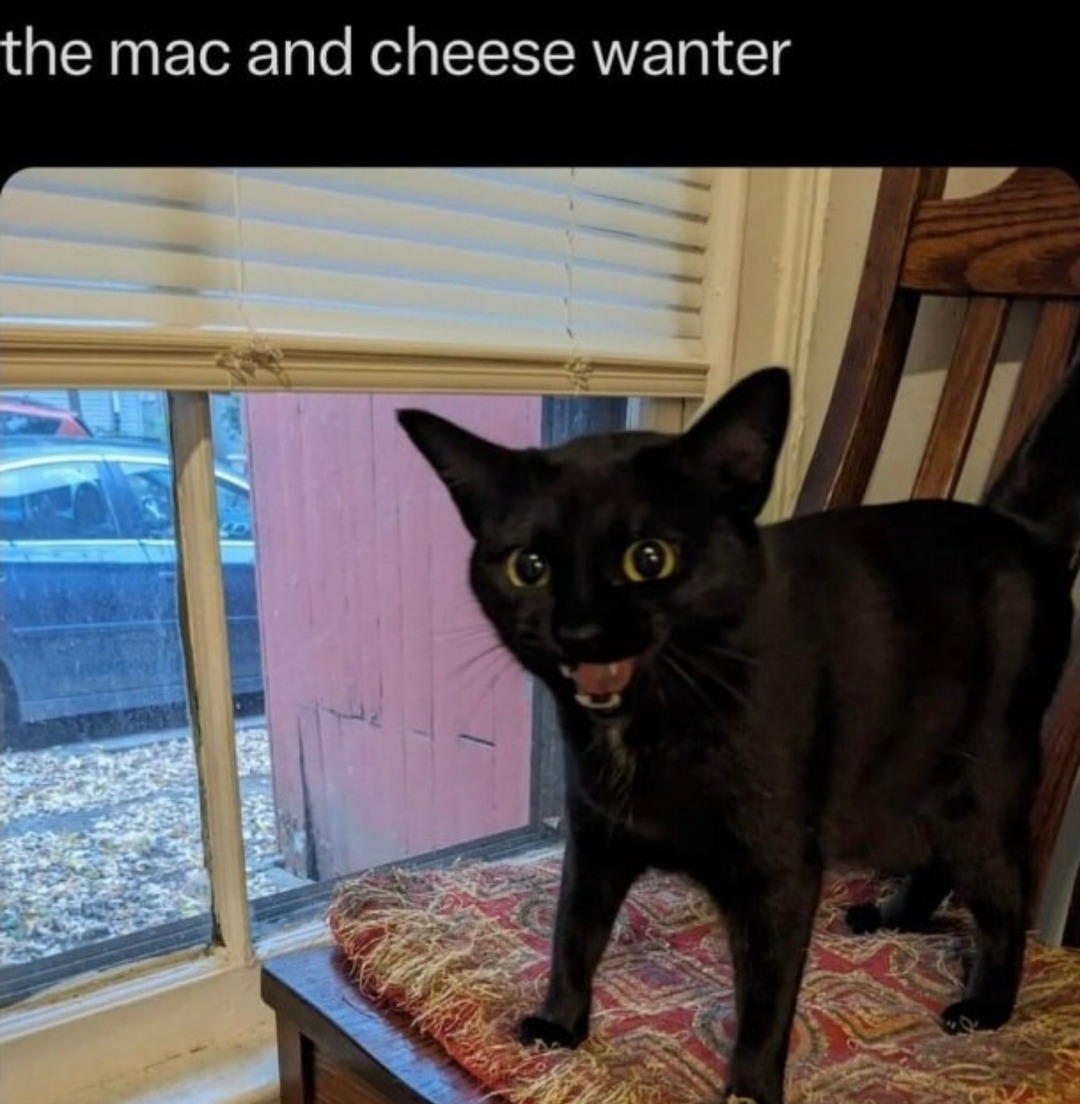 He who seeks the mac and cheese shall not be denied - meme