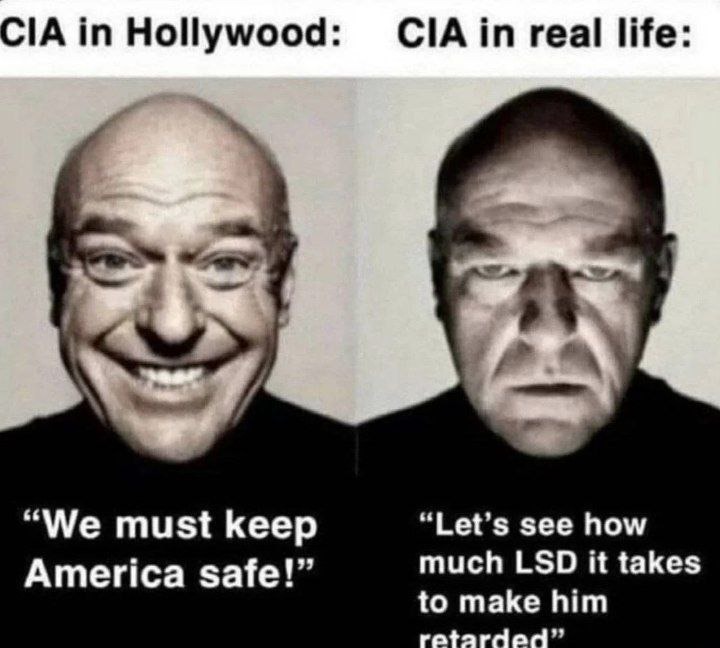 Central Intelligence of America - meme