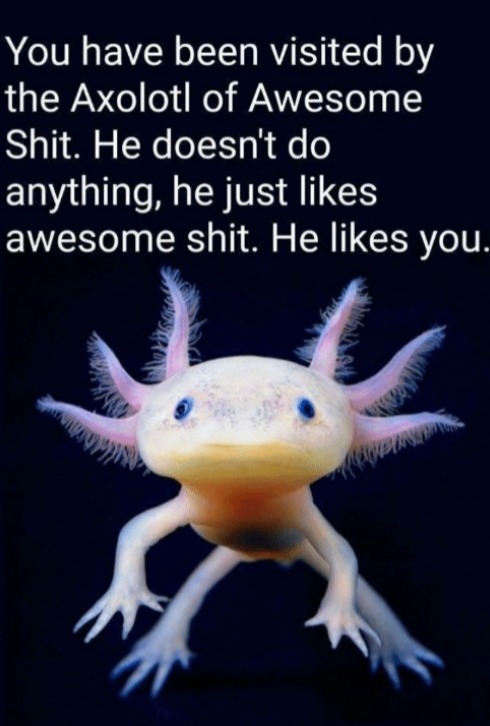 Wholesome axolotl meme