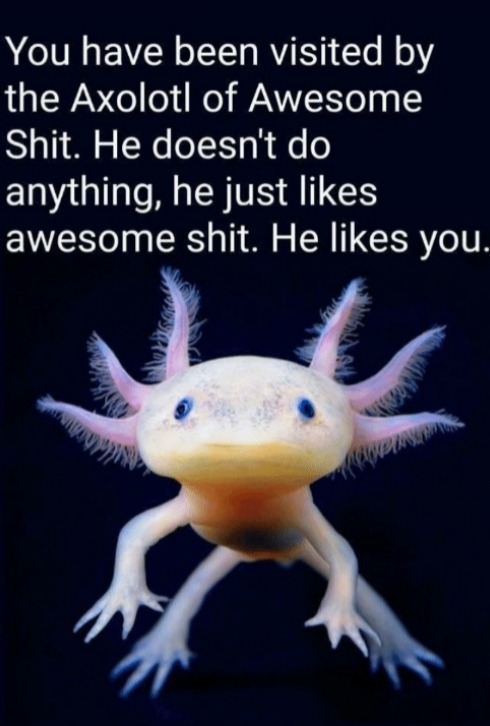 Wholesome axolotl meme - Meme by Changed :) Memedroid