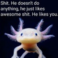 Wholesome axolotl meme