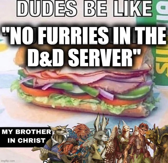 No furries in the DND server - meme