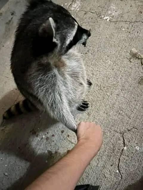 mi mejor amigo paraguayo - meme
