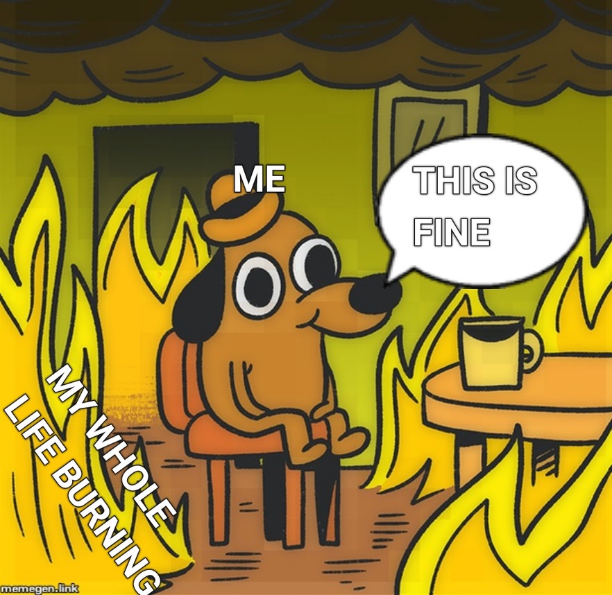 Burning life - meme