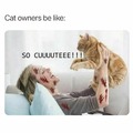 Cat owners are like
