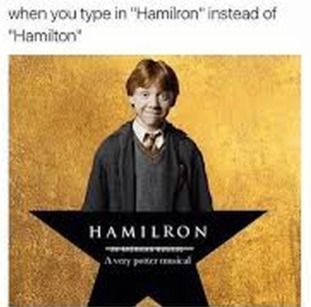 Hamilron  - meme
