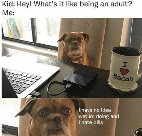 That dog seen some adulting - meme