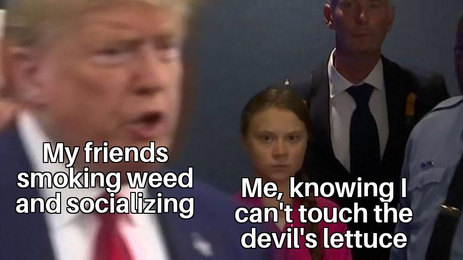No ganja for the federal employed - meme