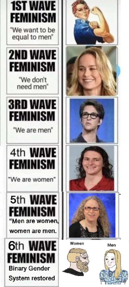 feminism - meme