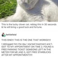 Lucky clover cat meme