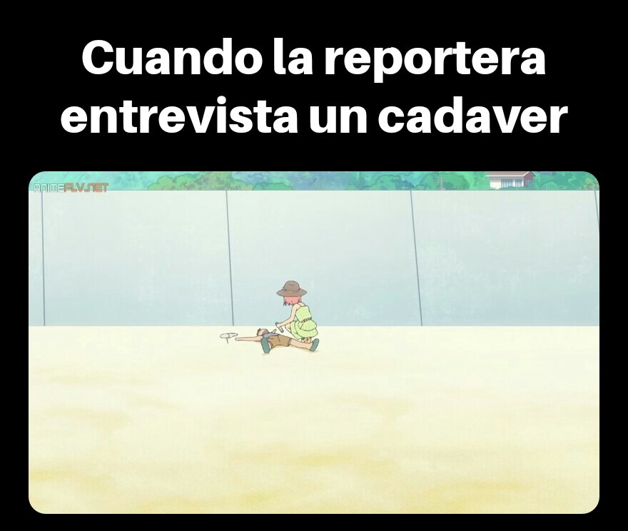 cosas de rportaje veraniego - meme