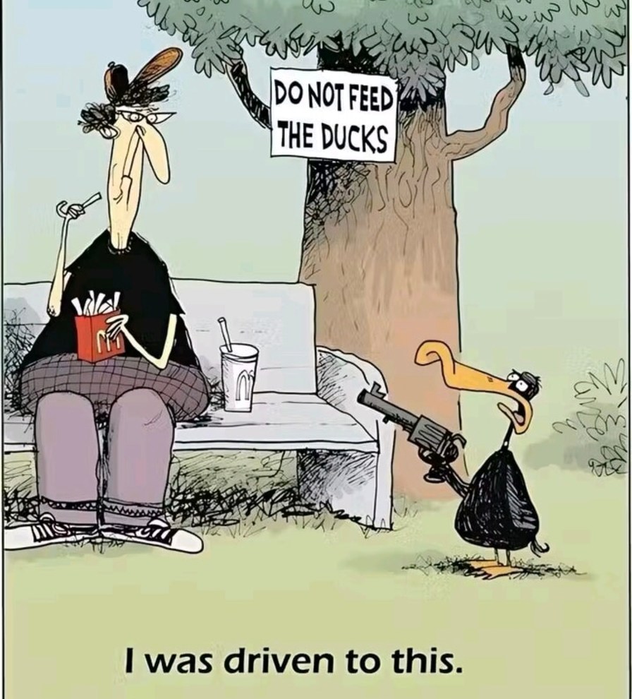 DO NOT FEED THE DUCKS is what finally broke me apparently - meme