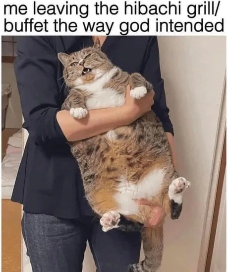 Leaving the hibachi buffet like a grilled god - meme