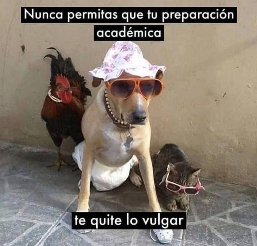 Nunca dejes que tu carrera universitaria te quite lo ordinario - meme