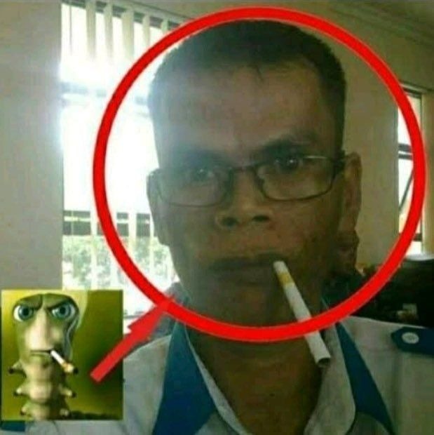 TOP 5 MEJORES LIVE ACTIONS: - meme