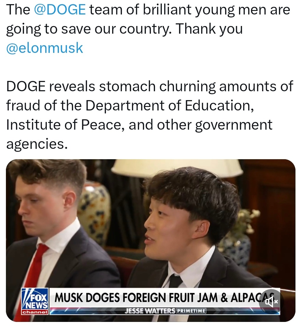 DOGE bros exposing fraud like it's their full time job - meme