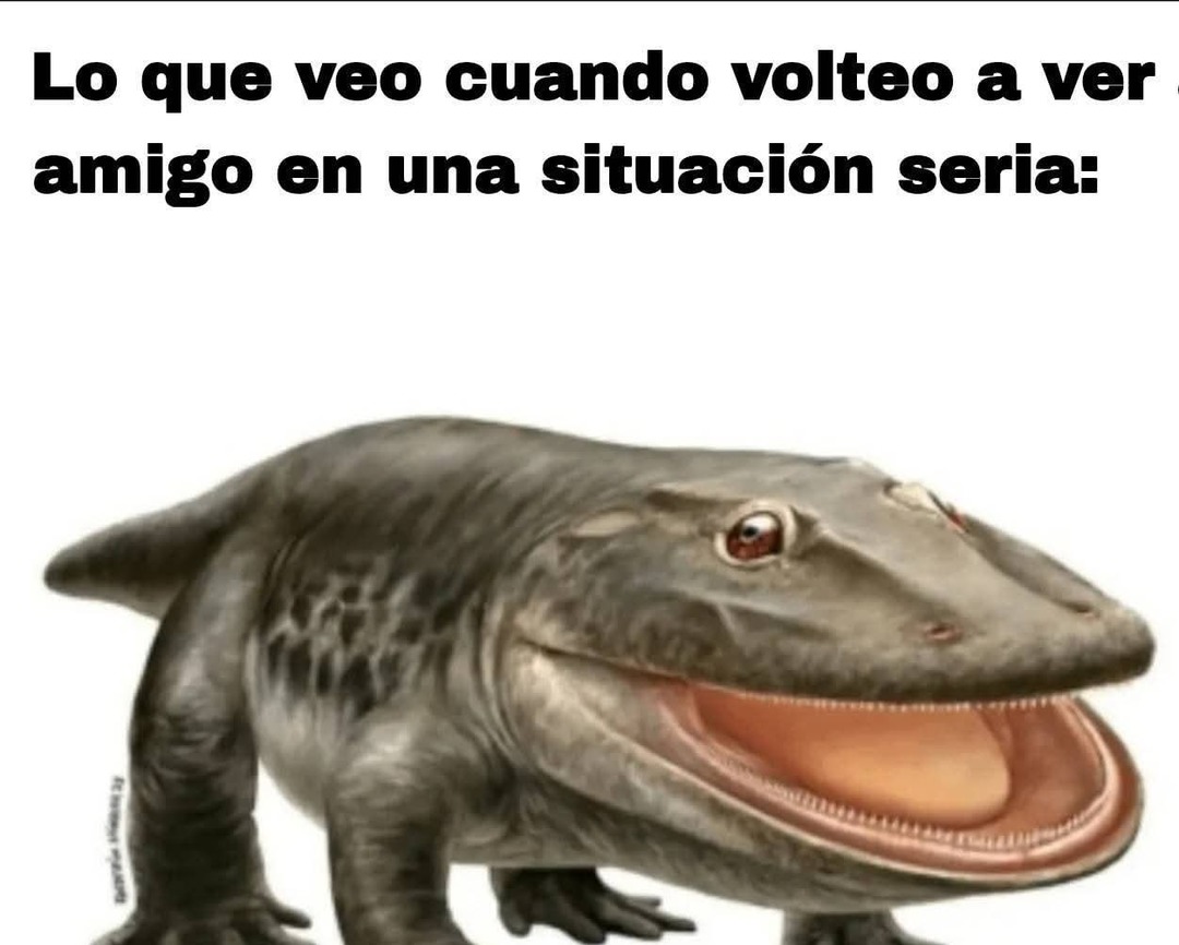 mirada de amigo en serio - meme