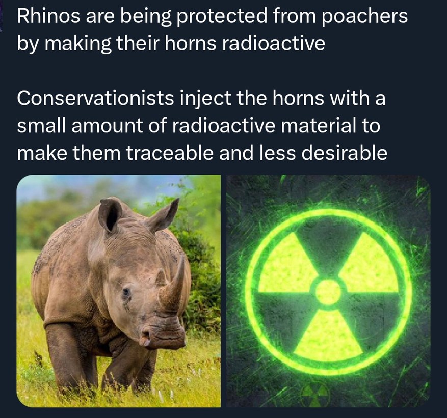 They're making rhino horns radioactive to stop poachers - meme