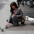 AFLAC!!