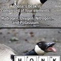 elements of the periodic HONK