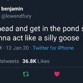 Silly goose
