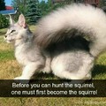 Be one with the squirrel