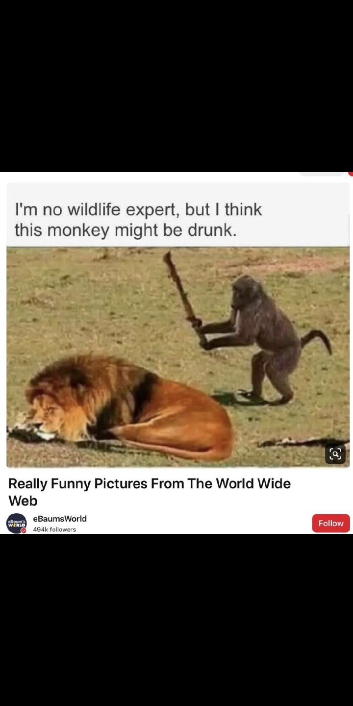 The best Monke memes :) Memedroid