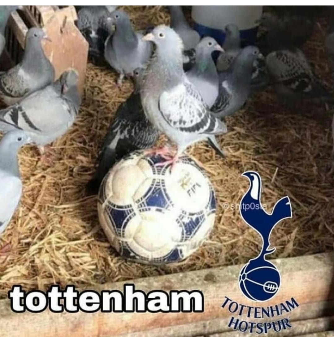 Tottenham - meme