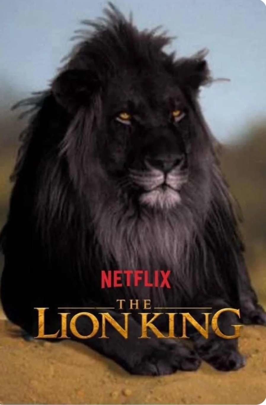 Disney The new lion king - meme