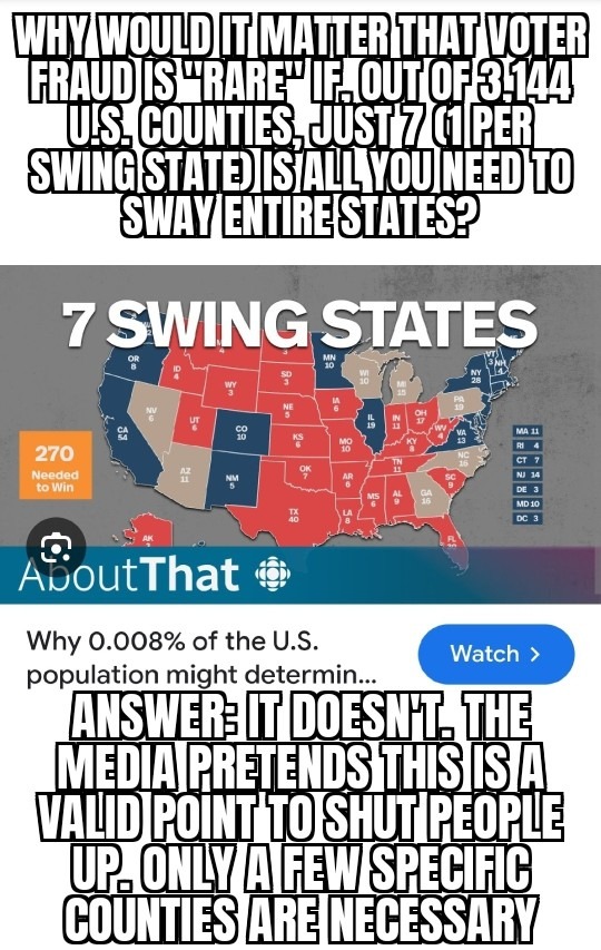 Sometimes a true statement doesn't refute a valid point. Election fraud matters - meme