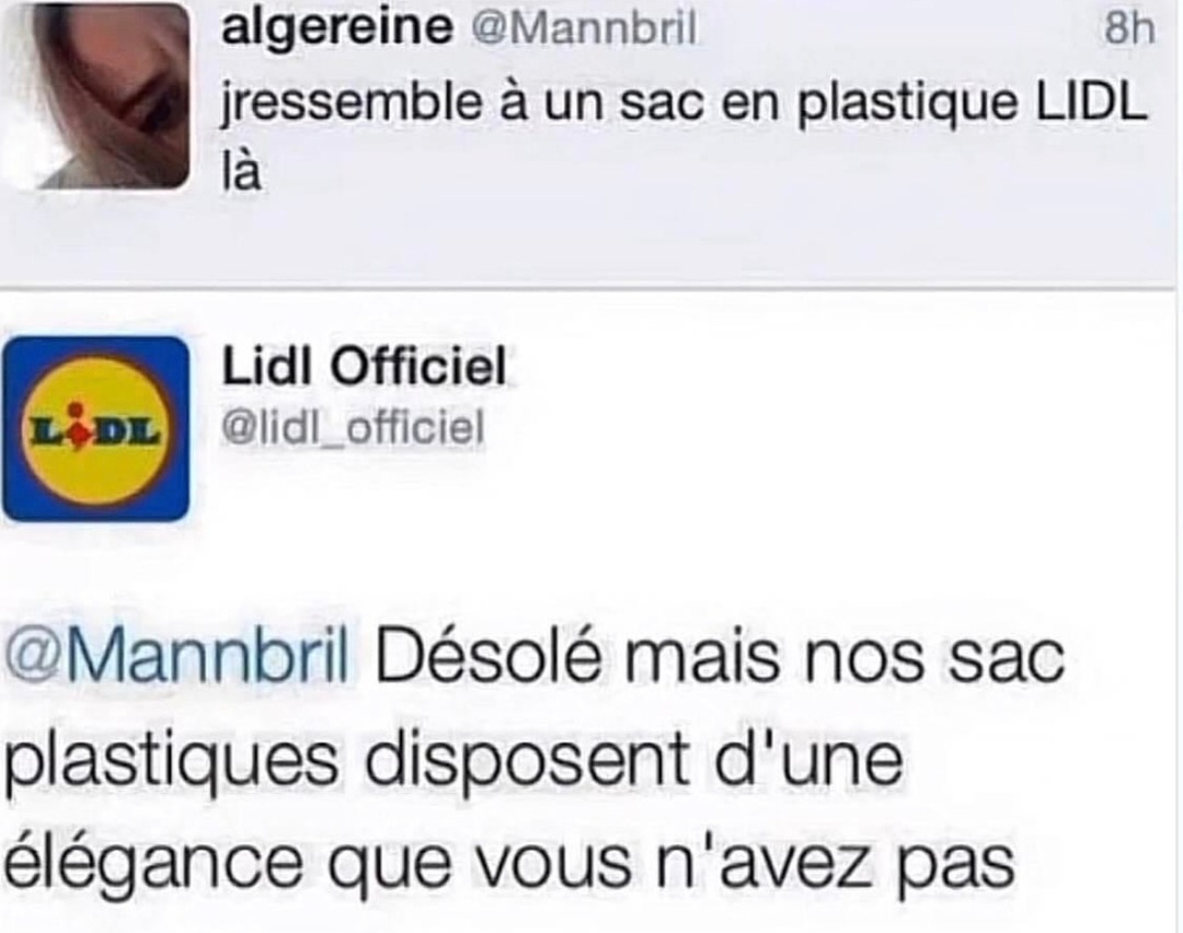 Quand tu ressembles à un sac LIDL mais que tu sais que ce sac est plus stylé que ta vie - meme