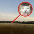 commented item thumbnail