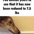 commented item thumbnail