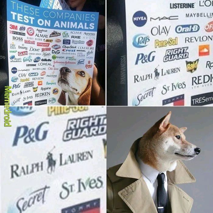 Empresas que fazem testes em animais. - meme